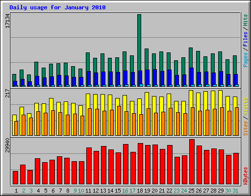 Daily usage for January 2010